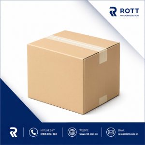 Thùng Carton